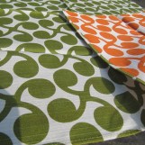 Junge Sprossen grün/orange