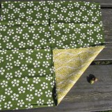 Pflaumen Rikyu grün/gelb