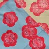 Pflaumen hellblau/beige